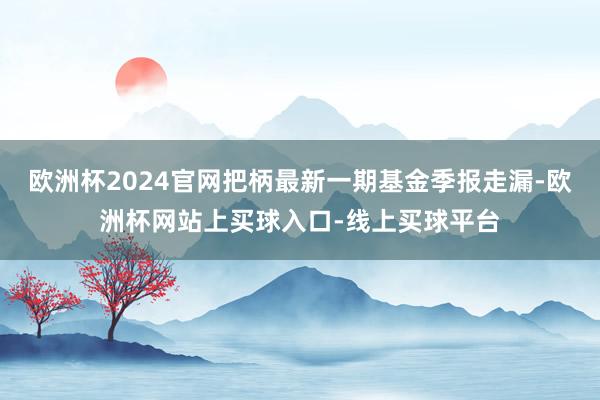 欧洲杯2024官网把柄最新一期基金季报走漏-欧洲杯网站上买球入口-线上买球平台