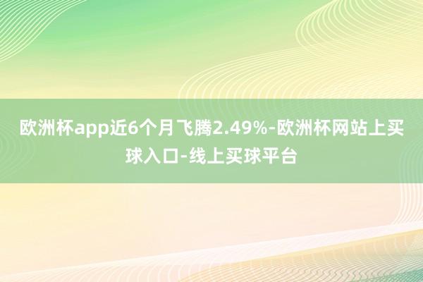 欧洲杯app近6个月飞腾2.49%-欧洲杯网站上买球入口-线上买球平台