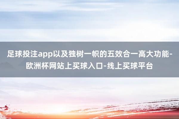 足球投注app以及独树一帜的五效合一高大功能-欧洲杯网站上买球入口-线上买球平台