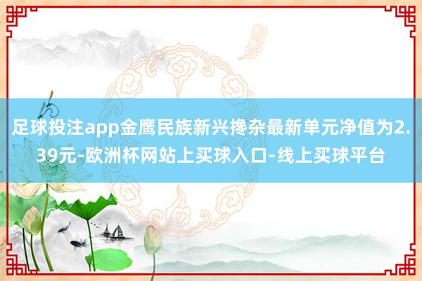 足球投注app金鹰民族新兴搀杂最新单元净值为2.39元-欧洲杯网站上买球入口-线上买球平台