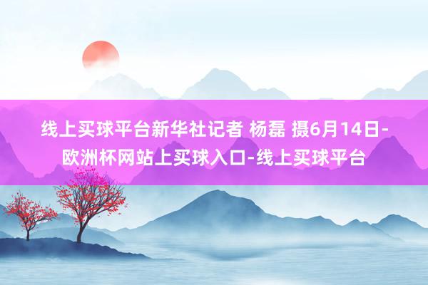 线上买球平台　　新华社记者 杨磊 摄　　6月14日-欧洲杯网站上买球入口-线上买球平台