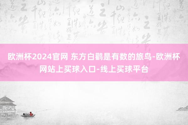欧洲杯2024官网 东方白鹳是有数的旅鸟-欧洲杯网站上买球入口-线上买球平台