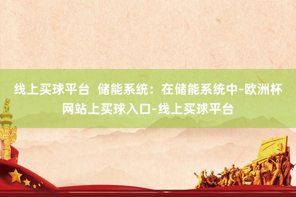 线上买球平台  储能系统：在储能系统中-欧洲杯网站上买球入口-线上买球平台