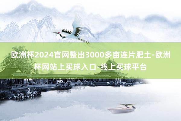 欧洲杯2024官网整出3000多亩连片肥土-欧洲杯网站上买球入口-线上买球平台