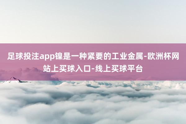 足球投注app镍是一种紧要的工业金属-欧洲杯网站上买球入口-线上买球平台