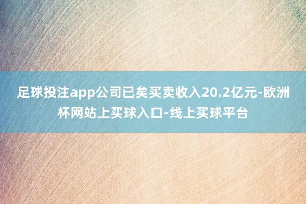 足球投注app公司已矣买卖收入20.2亿元-欧洲杯网站上买球入口-线上买球平台