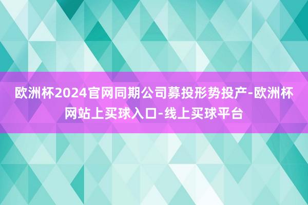 欧洲杯2024官网同期公司募投形势投产-欧洲杯网站上买球入口-线上买球平台