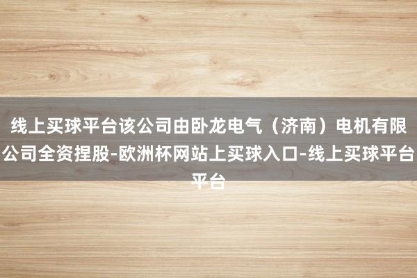 线上买球平台该公司由卧龙电气（济南）电机有限公司全资捏股-欧洲杯网站上买球入口-线上买球平台