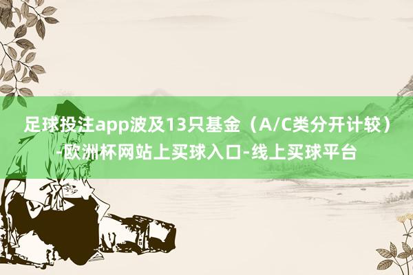 足球投注app波及13只基金（A/C类分开计较）-欧洲杯网站上买球入口-线上买球平台