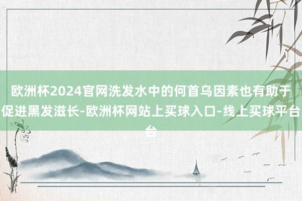 欧洲杯2024官网洗发水中的何首乌因素也有助于促进黑发滋长-欧洲杯网站上买球入口-线上买球平台