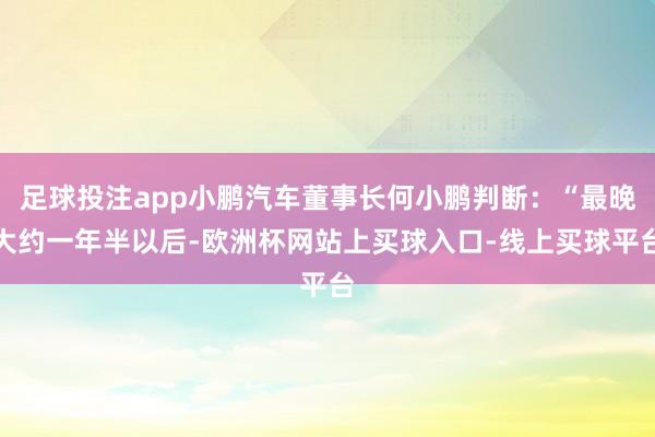 足球投注app小鹏汽车董事长何小鹏判断：“最晚大约一年半以后-欧洲杯网站上买球入口-线上买球平台