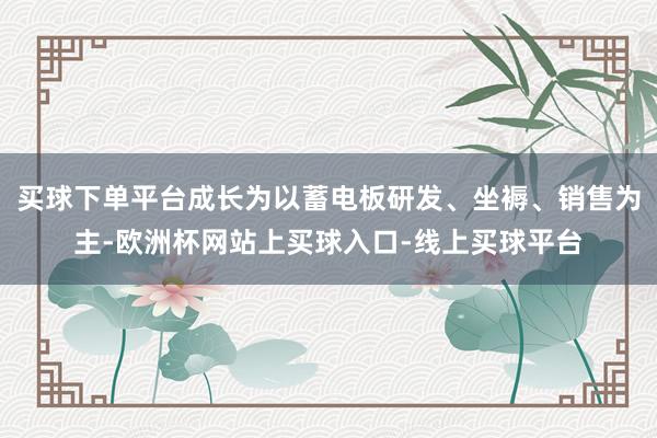 买球下单平台成长为以蓄电板研发、坐褥、销售为主-欧洲杯网站上买球入口-线上买球平台