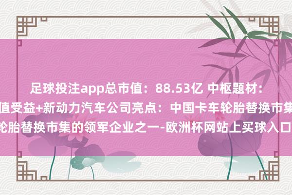 足球投注app总市值：88.53亿 中枢题材：一带全部+东谈主民币贬值受益+新动力汽车公司亮点：中国卡车轮胎替换市集的领军企业之一-欧洲杯网站上买球入口-线上买球平台