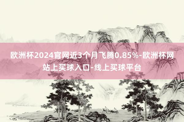 欧洲杯2024官网近3个月飞腾0.85%-欧洲杯网站上买球入口-线上买球平台