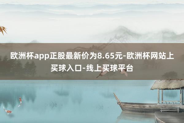 欧洲杯app正股最新价为8.65元-欧洲杯网站上买球入口-线上买球平台