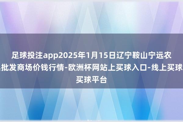 足球投注app2025年1月15日辽宁鞍山宁远农家具批发商场价钱行情-欧洲杯网站上买球入口-线上买球平台