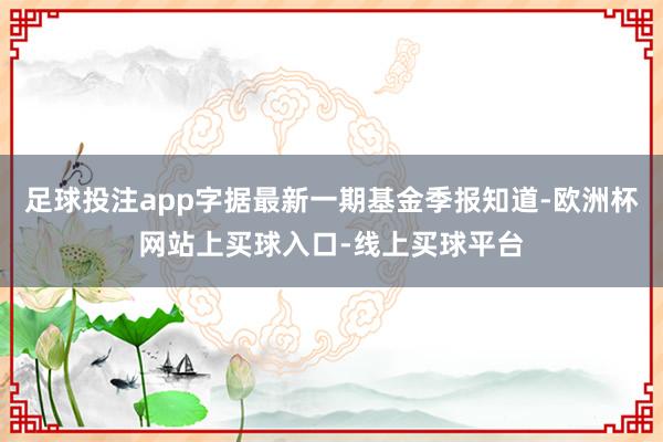 足球投注app字据最新一期基金季报知道-欧洲杯网站上买球入口-线上买球平台