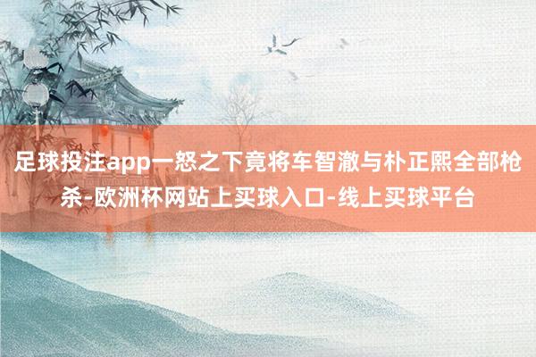 足球投注app一怒之下竟将车智澈与朴正熙全部枪杀-欧洲杯网站上买球入口-线上买球平台