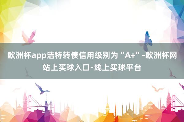 欧洲杯app洁特转债信用级别为“A+”-欧洲杯网站上买球入口-线上买球平台