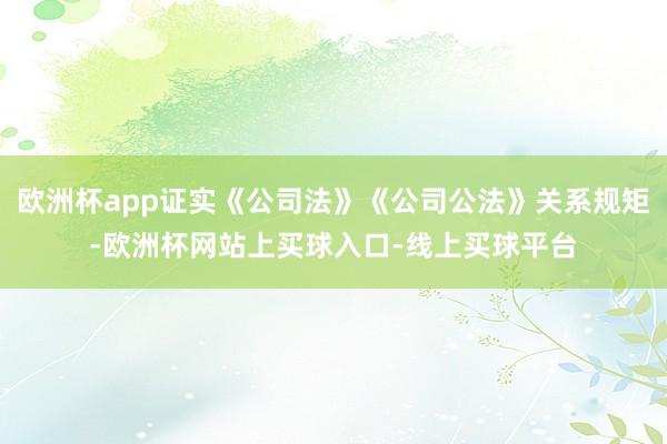 欧洲杯app证实《公司法》《公司公法》关系规矩-欧洲杯网站上买球入口-线上买球平台