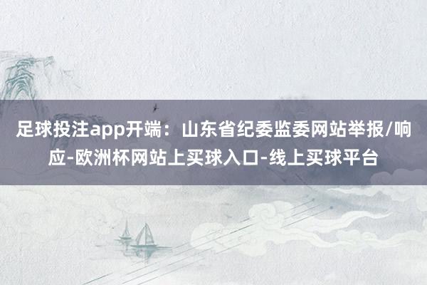 足球投注app开端：山东省纪委监委网站举报/响应-欧洲杯网站上买球入口-线上买球平台