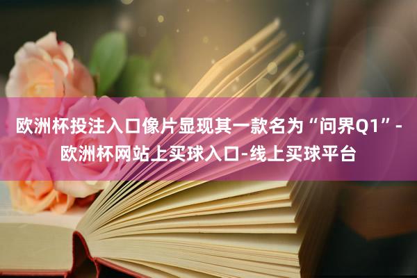 欧洲杯投注入口像片显现其一款名为“问界Q1”-欧洲杯网站上买球入口-线上买球平台
