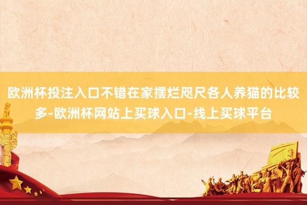 欧洲杯投注入口不错在家摆烂咫尺各人养猫的比较多-欧洲杯网站上买球入口-线上买球平台