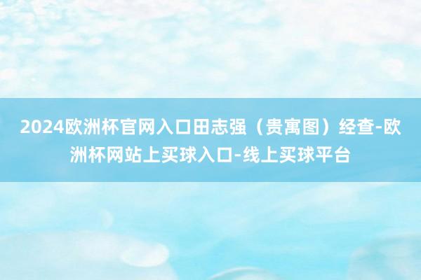 2024欧洲杯官网入口田志强（贵寓图）经查-欧洲杯网站上买球入口-线上买球平台