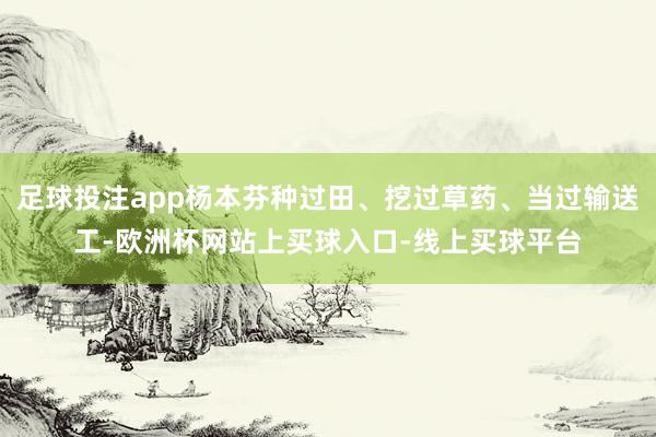 足球投注app杨本芬种过田、挖过草药、当过输送工-欧洲杯网站上买球入口-线上买球平台