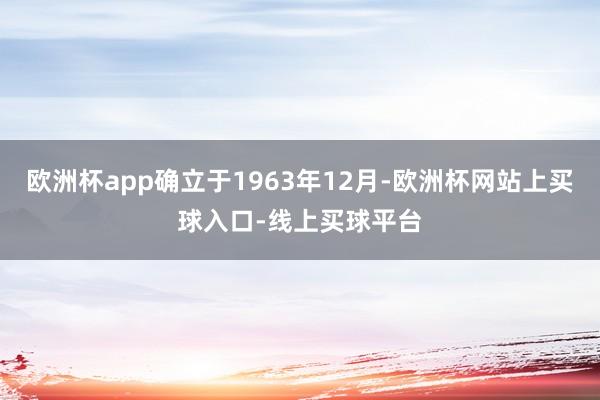 欧洲杯app确立于1963年12月-欧洲杯网站上买球入口-线上买球平台
