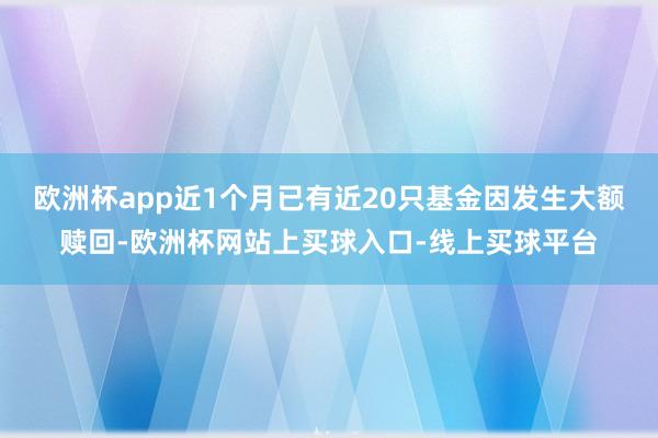 欧洲杯app近1个月已有近20只基金因发生大额赎回-欧洲杯网站上买球入口-线上买球平台