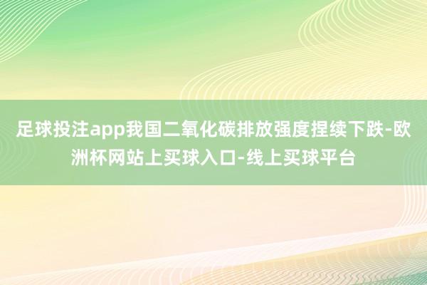 足球投注app我国二氧化碳排放强度捏续下跌-欧洲杯网站上买球入口-线上买球平台