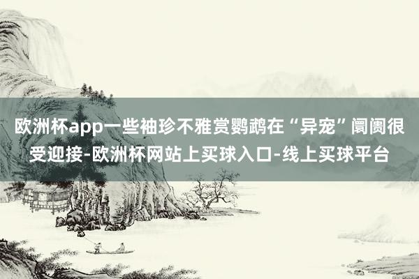 欧洲杯app一些袖珍不雅赏鹦鹉在“异宠”阛阓很受迎接-欧洲杯网站上买球入口-线上买球平台