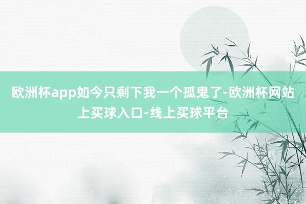 欧洲杯app如今只剩下我一个孤鬼了-欧洲杯网站上买球入口-线上买球平台