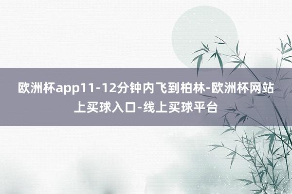 欧洲杯app11-12分钟内飞到柏林-欧洲杯网站上买球入口-线上买球平台