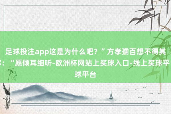 足球投注app这是为什么吧？”方孝孺百想不得其解：“愿倾耳细听-欧洲杯网站上买球入口-线上买球平台