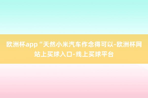 欧洲杯app“天然小米汽车作念得可以-欧洲杯网站上买球入口-线上买球平台