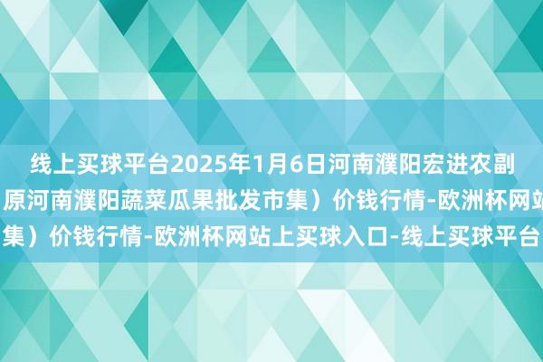 线上买球平台2025年1月6日河南濮阳宏进农副产物批发市集有限公司(原河南濮阳蔬菜瓜果批发市集)价钱行情-欧洲杯网站上买球入口-线上买球平台