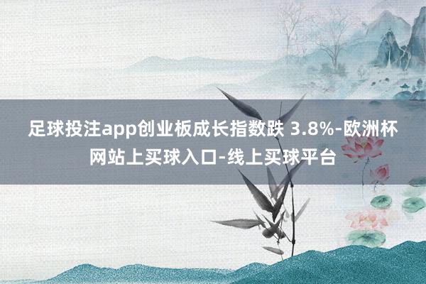 足球投注app创业板成长指数跌 3.8%-欧洲杯网站上买球入口-线上买球平台