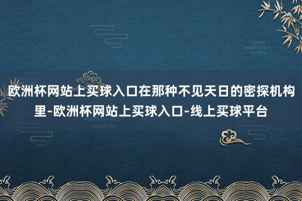 欧洲杯网站上买球入口在那种不见天日的密探机构里-欧洲杯网站上买球入口-线上买球平台