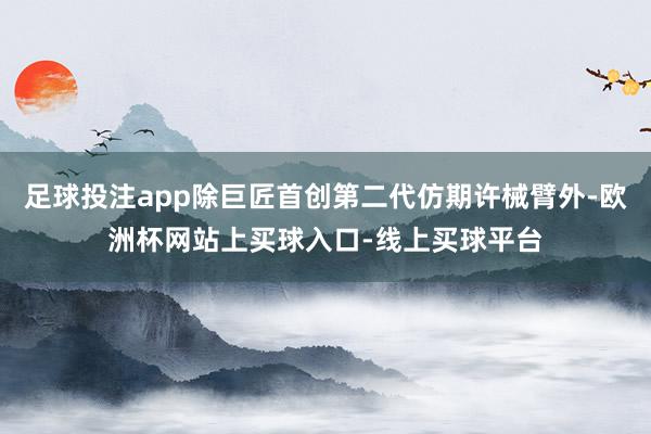 足球投注app除巨匠首创第二代仿期许械臂外-欧洲杯网站上买球入口-线上买球平台