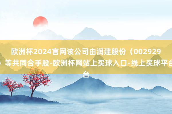 欧洲杯2024官网该公司由润建股份（002929）等共同合手股-欧洲杯网站上买球入口-线上买球平台