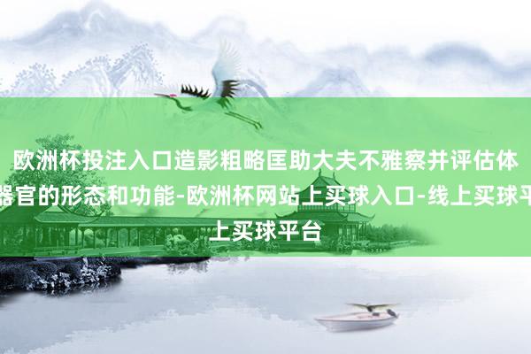 欧洲杯投注入口造影粗略匡助大夫不雅察并评估体内器官的形态和功能-欧洲杯网站上买球入口-线上买球平台