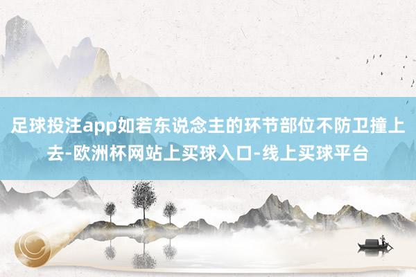 足球投注app如若东说念主的环节部位不防卫撞上去-欧洲杯网站上买球入口-线上买球平台