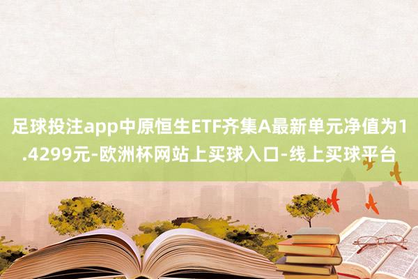 足球投注app中原恒生ETF齐集A最新单元净值为1.4299元-欧洲杯网站上买球入口-线上买球平台