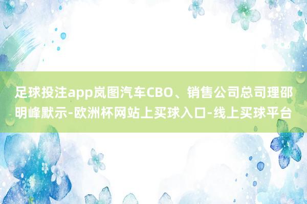 足球投注app岚图汽车CBO、销售公司总司理邵明峰默示-欧洲杯网站上买球入口-线上买球平台