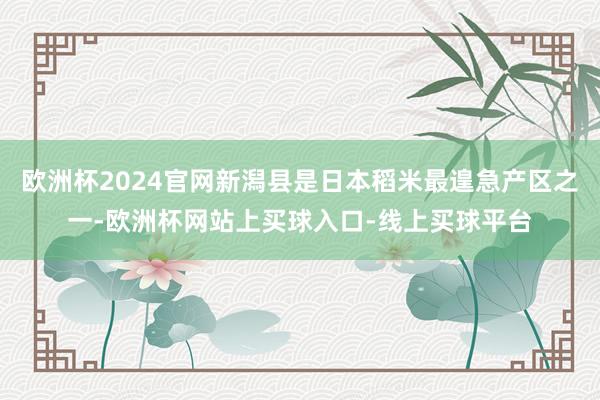 欧洲杯2024官网新潟县是日本稻米最遑急产区之一-欧洲杯网站上买球入口-线上买球平台