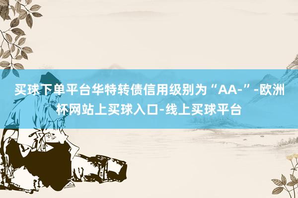 买球下单平台华特转债信用级别为“AA-”-欧洲杯网站上买球入口-线上买球平台