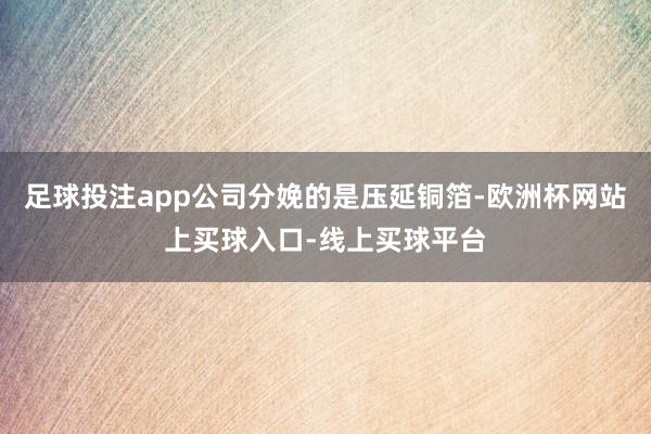 足球投注app公司分娩的是压延铜箔-欧洲杯网站上买球入口-线上买球平台