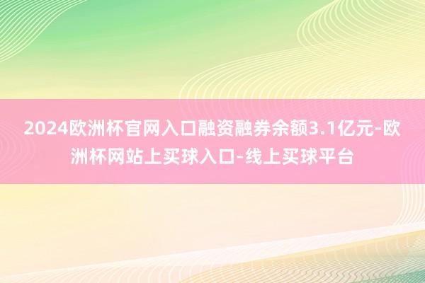 2024欧洲杯官网入口融资融券余额3.1亿元-欧洲杯网站上买球入口-线上买球平台